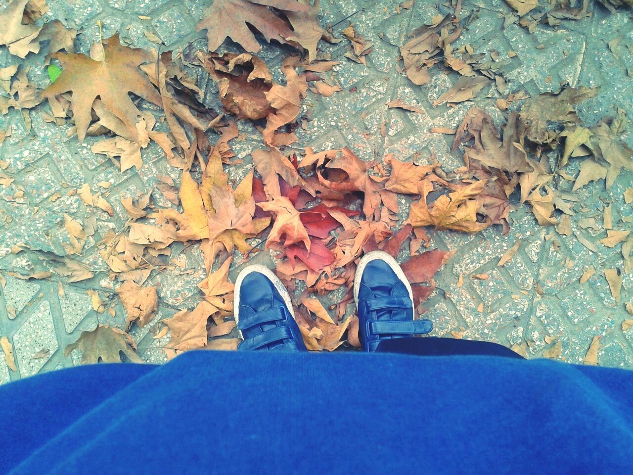 low section, person, personal perspective, shoe, high angle view, human foot, standing, lifestyles, jeans, directly above, footwear, leisure activity, leaf, autumn, men, unrecognizable person, outdoors