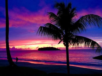 Silhouette palm tree by sea against sky during sunset