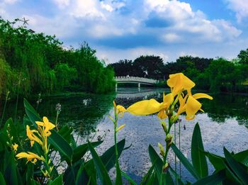 Scenic view of lake against cloudy sky