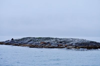 Rocks by sea against sky