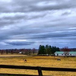 Scenic view of field against cloudy sky