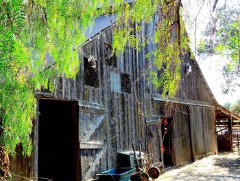 Old abandoned house by tree against building