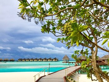 View of swimming pool at beach