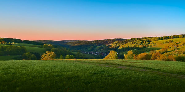 Scenic view of field against clear sky