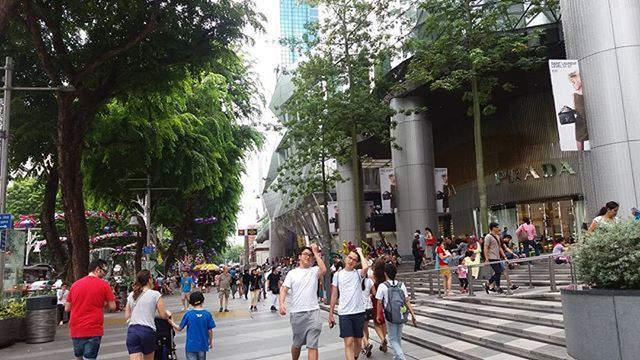 large group of people, person, tree, men, lifestyles, building exterior, walking, architecture, built structure, city, street, city life, leisure activity, mixed age range, day, road, outdoors, building, group of people