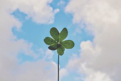 Low angle view of plant against cloudy sky