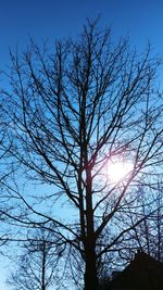 Low angle view of bare tree against sky