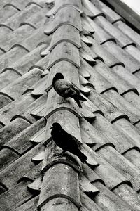 Full frame shot of roof tiles