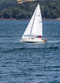 Sailboat sailing on sea against sky