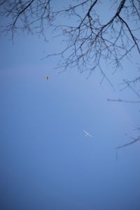 Low angle view of airplane flying in sky