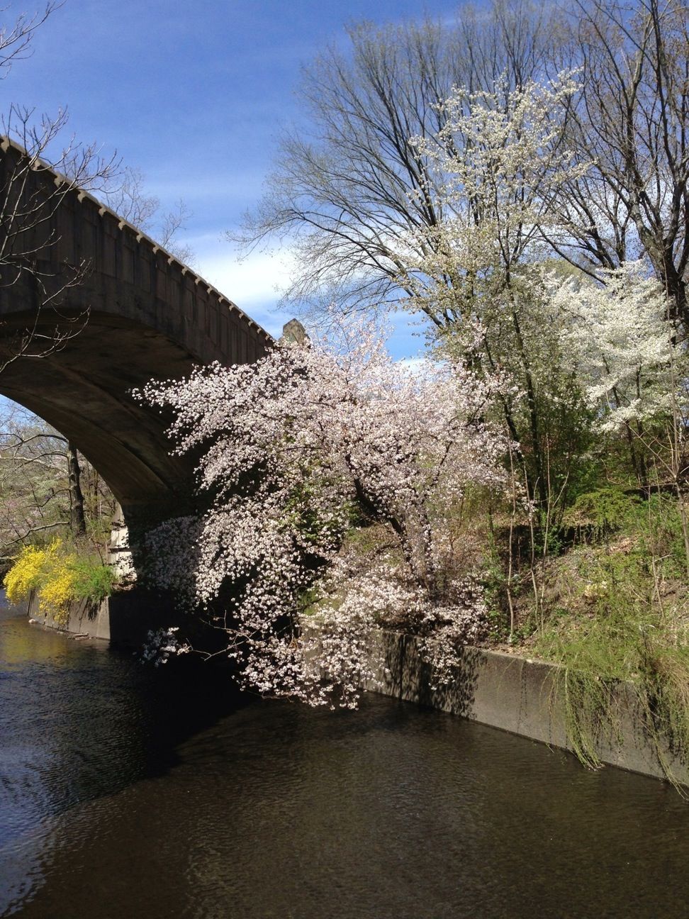 Branch Brook Park, Newark NJ