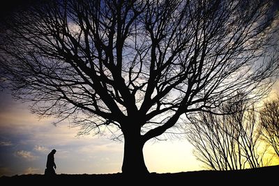 Silhouette bare trees against sky at sunset