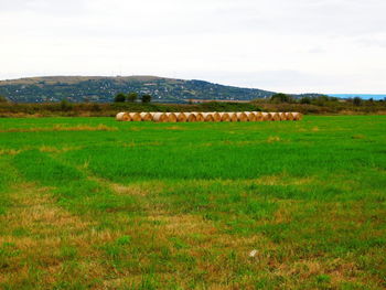 Scenic view of field against sky