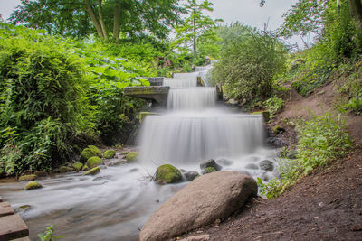 Waterfall in forest