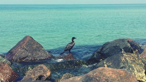 Scenic view of sea against blue sky