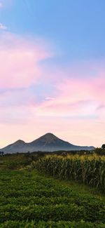 Scenic view of landscape against sky during sunset