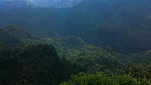 Scenic view of tree mountains