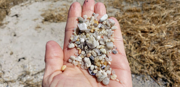 Close-up of person holding hand