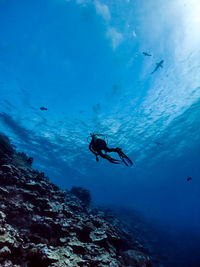 Scuba diving in sea