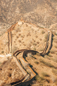 High angle view of a horse on road