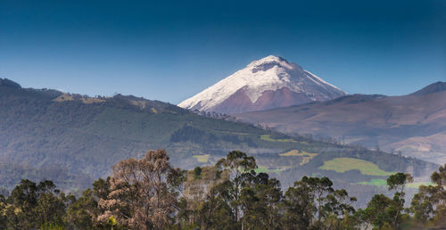 Scenic view of landscape against clear blue sky