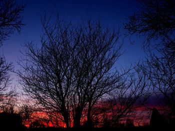 Low angle view of silhouette bare trees against sky at night