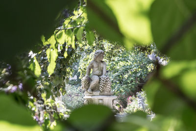 Statue of small buddha against plants