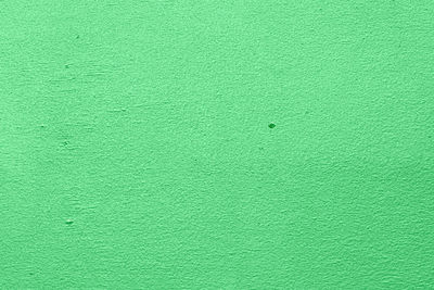Full frame shot of green wall