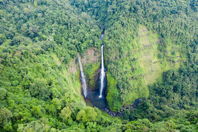 Scenic view of waterfall in forest