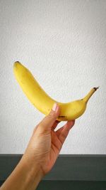 Close-up of hand holding fruit