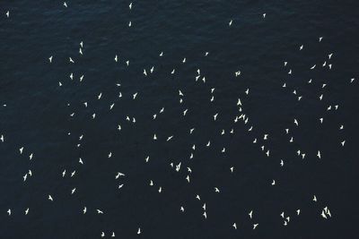 Full frame shot of tiled floor