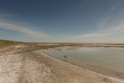 The road through the steppes to the aral sea.kazakhstan,2019