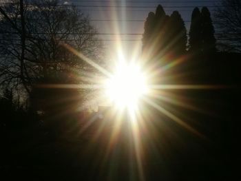 Low angle view of trees against bright sun