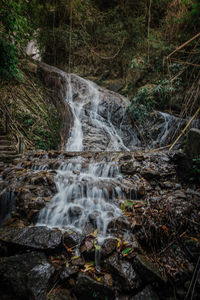 Scenic view of waterfall in forest