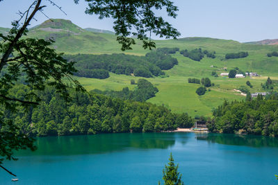 Scenic view of lake and trees against sky