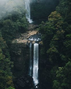 Scenic view of waterfall in forest