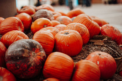 Close-up of pumpkins for sale