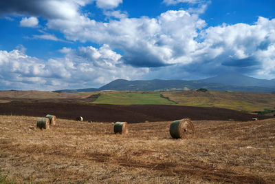 Scenic view of agricultural field against sky