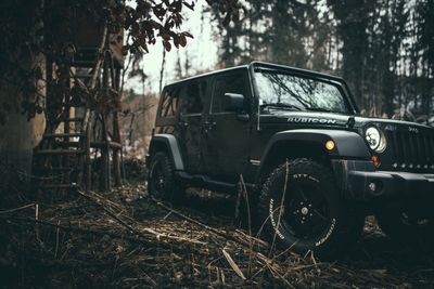 Abandoned car on tree