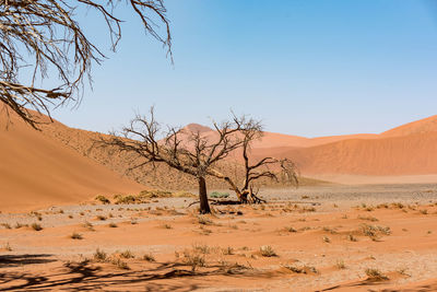 Scenic view of desert against clear sky