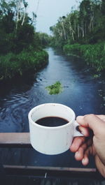 Person holding coffee cup