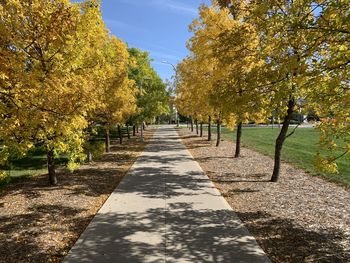 Footpath amidst trees in park during autumn