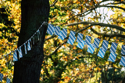 Low angle view of metal fence against trees