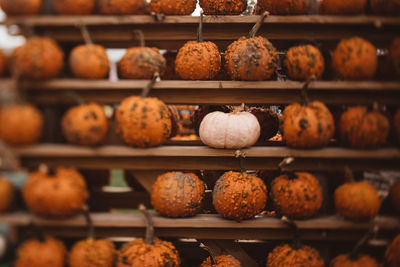 Close-up of pumpkins for sale in store