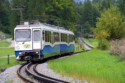 Train on railroad track