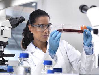 Biomedical research, female scientist viewing stem cells developing in a culture jar during an experiment in the laboratory