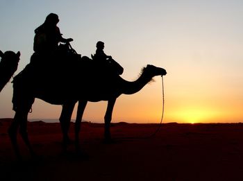 Silhouette of man riding horse at sunset