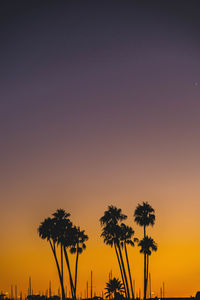 Silhouette palm trees against orange sky