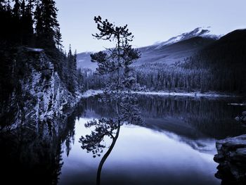 Scenic view of lake in forest during winter