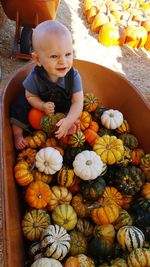 High angle view of boy with pumpkins